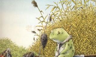 青蛙王子动画片 青蛙王子动画片